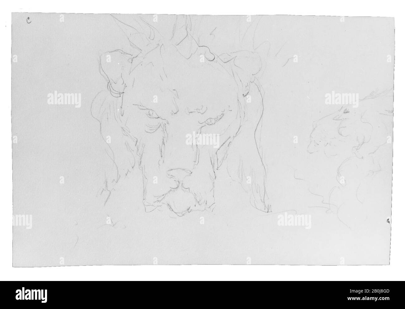 William Rimmer, Frontal and Profile Studies of a Lion's Head, American, William Rimmer (American (Born England), Liverpool, 16-1879 South Milford, Massachusetts), American, Graphite on Light Buff-colored Wove Paper, 8 x 12 1/8 in. (20,3 x 30,8 cm), Zeichnungen Stockfoto