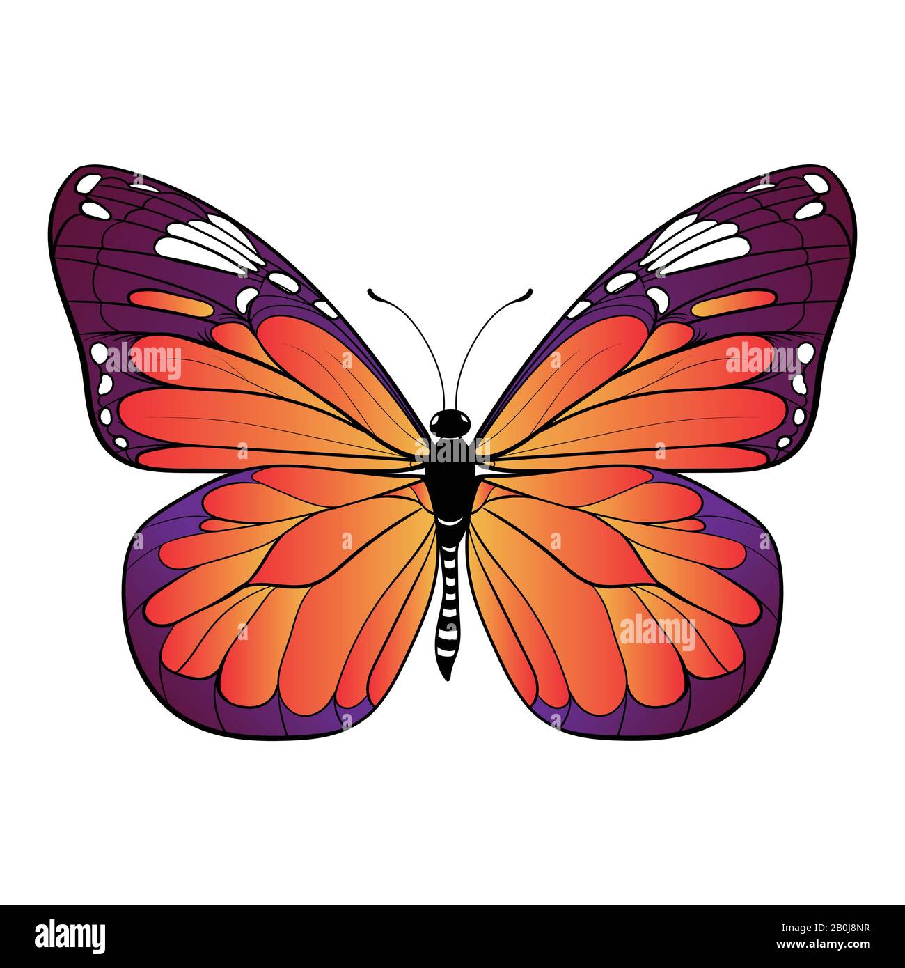Farbenfroher Schmetterling auf weißem Hintergrund Vektorgrafiken Stock Vektor