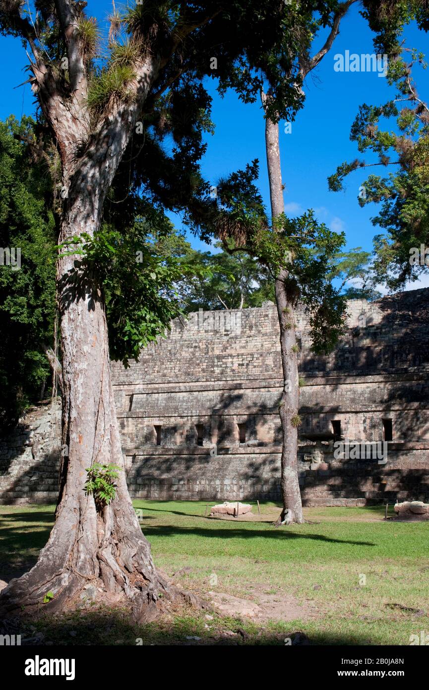 HONDURAS, COPAN-RUINEN, MAYA-ARCHAELOGISCHE STÄTTE, WESTGERICHT (PATIO OCCIDENTAL), TEMPEL 11 Stockfoto