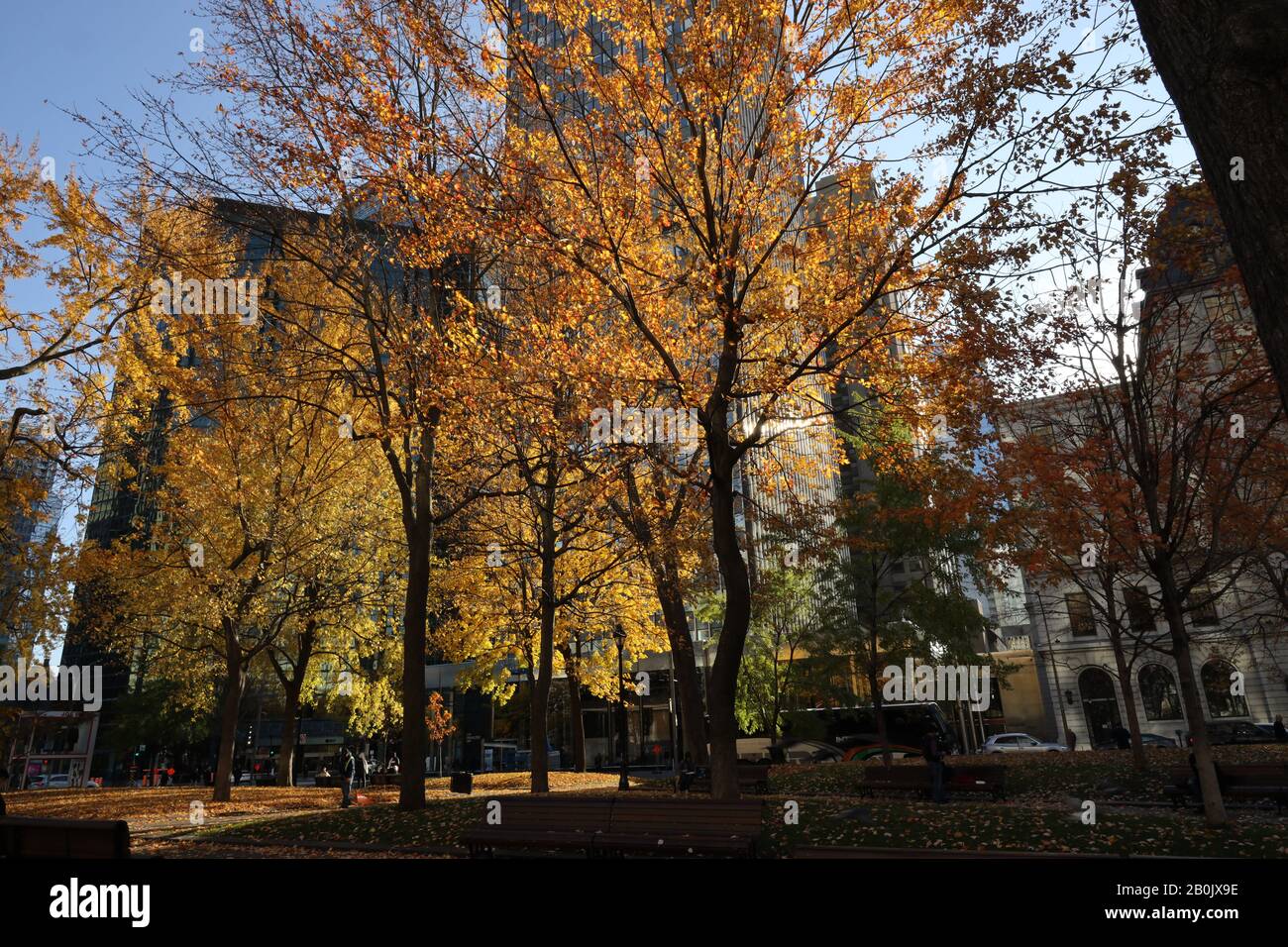 Montreal Streets Stockfoto