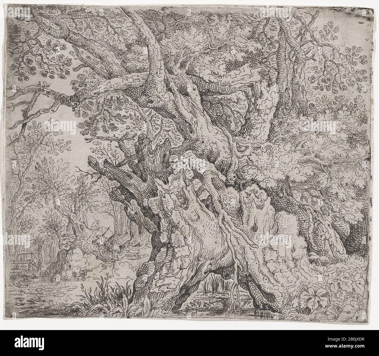 Roelandt Savery, Knarrenbaum, Roelandt Savery (Flämisch, Kortrijk 1576-1639 Utrechter), Ca. 1608-09, Radierung; erster Zustand von zwei, Blatt: 4 15/16 × 5 11/16 in. (12,5 × 14,5 cm), Ausdrucke Stockfoto