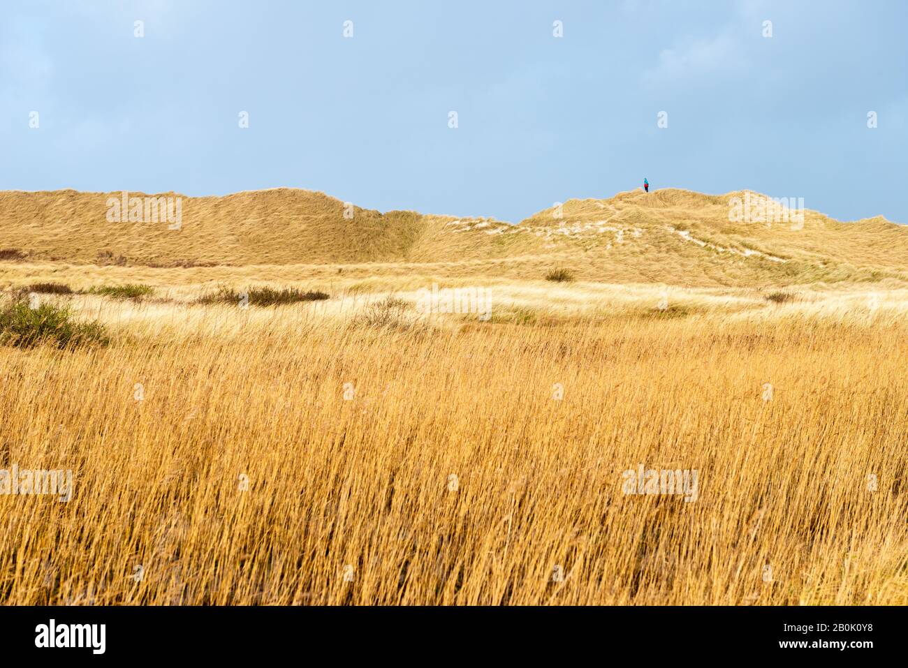 Insel Amrum, Nordsee, UNESCO-Welterbe, Nordfriesland, Schleswig-Holstein, Gemany Stockfoto