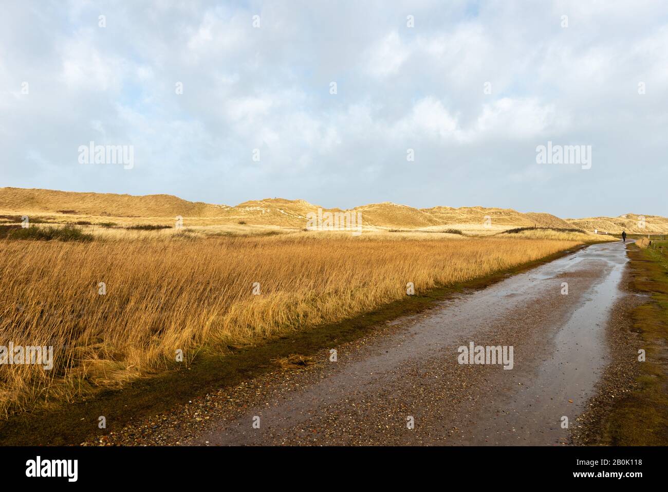 Amrum Odde, Insel Amrum, Northsea, UNESCO-Welterbe, Nordfriesland, Schleswig-Holstein, Gemany Stockfoto