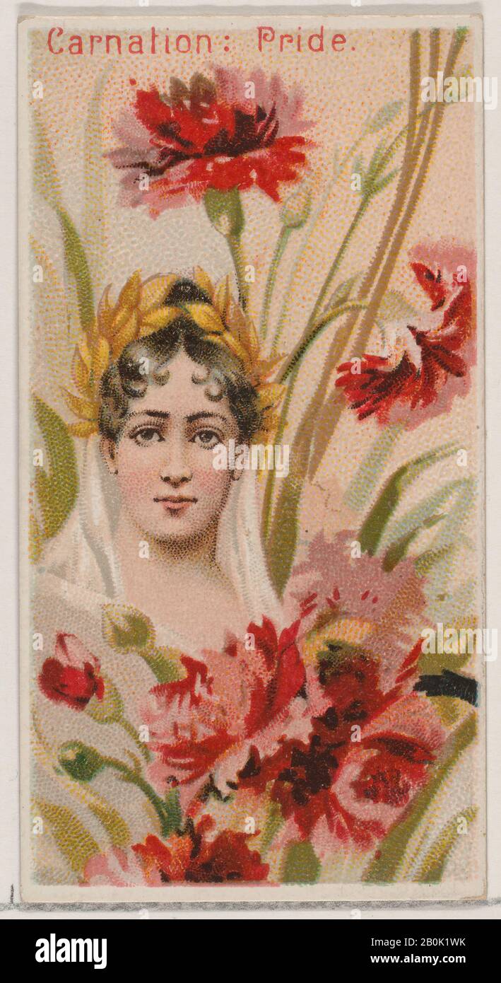 Herausgegeben von der Zigarettenbranche des American Tobacco Company, Carnation: Pride, aus der Serie Floral Beauties and Language of Flowers (N75) für Zigaretten der Marke "Duke", Lithographie von Donaldson Brothers (American, New York), 1892, Kommerzieller Farblithograph, Blatt: 2 3/4 × 1 1/2 in. (7 × 3,8 cm Stockfoto