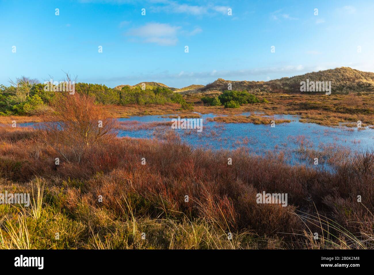 Insel Amrum, Nordsee, UNESCO-Welterbe, Nordfriesland, Schleswig-Holstein, Gemany Stockfoto