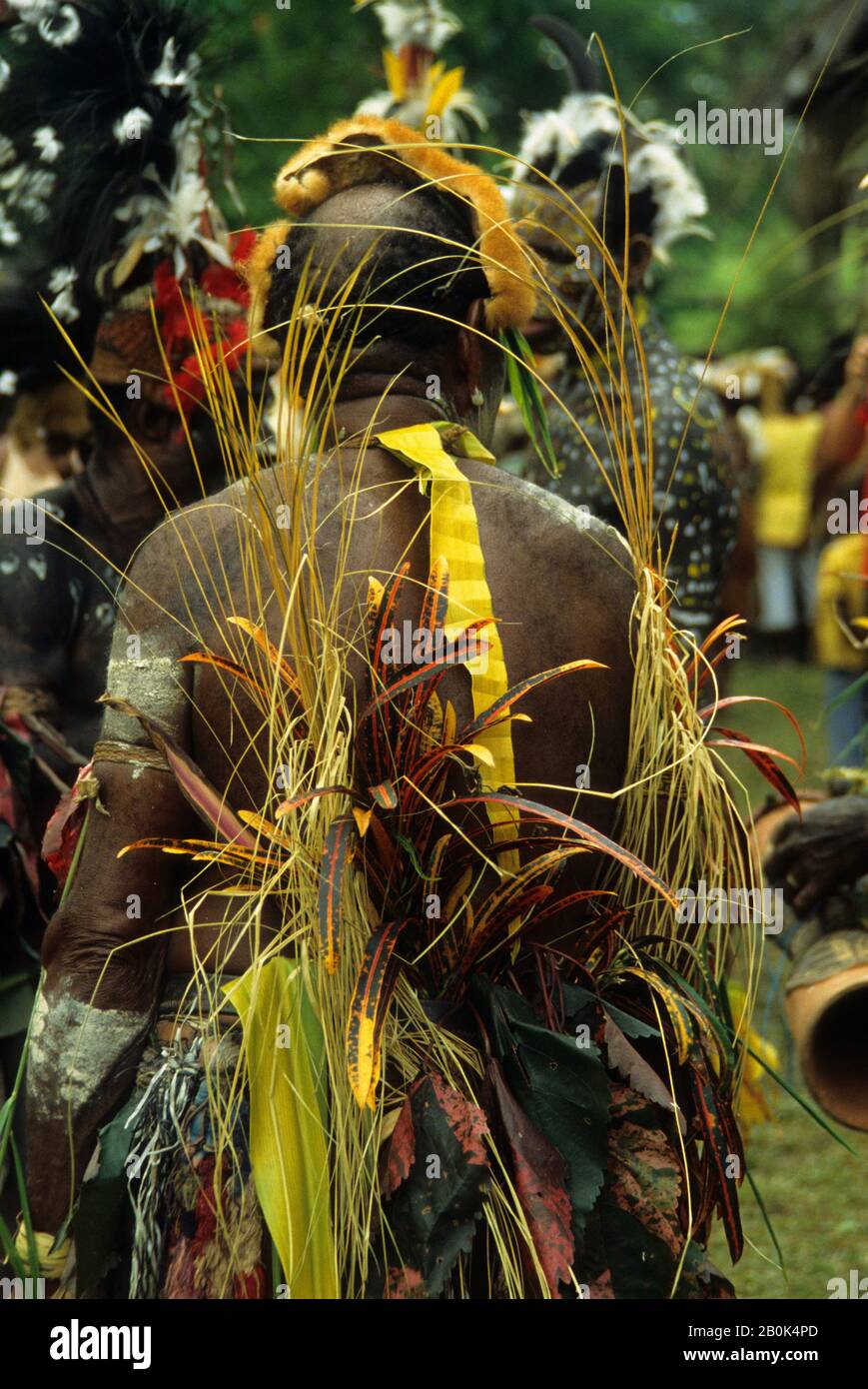 PAPUA-NEUGUINEA, SEPIK-FLUSS, MAN IM TRADITIONELLEN KLEID, ZURÜCK Stockfoto