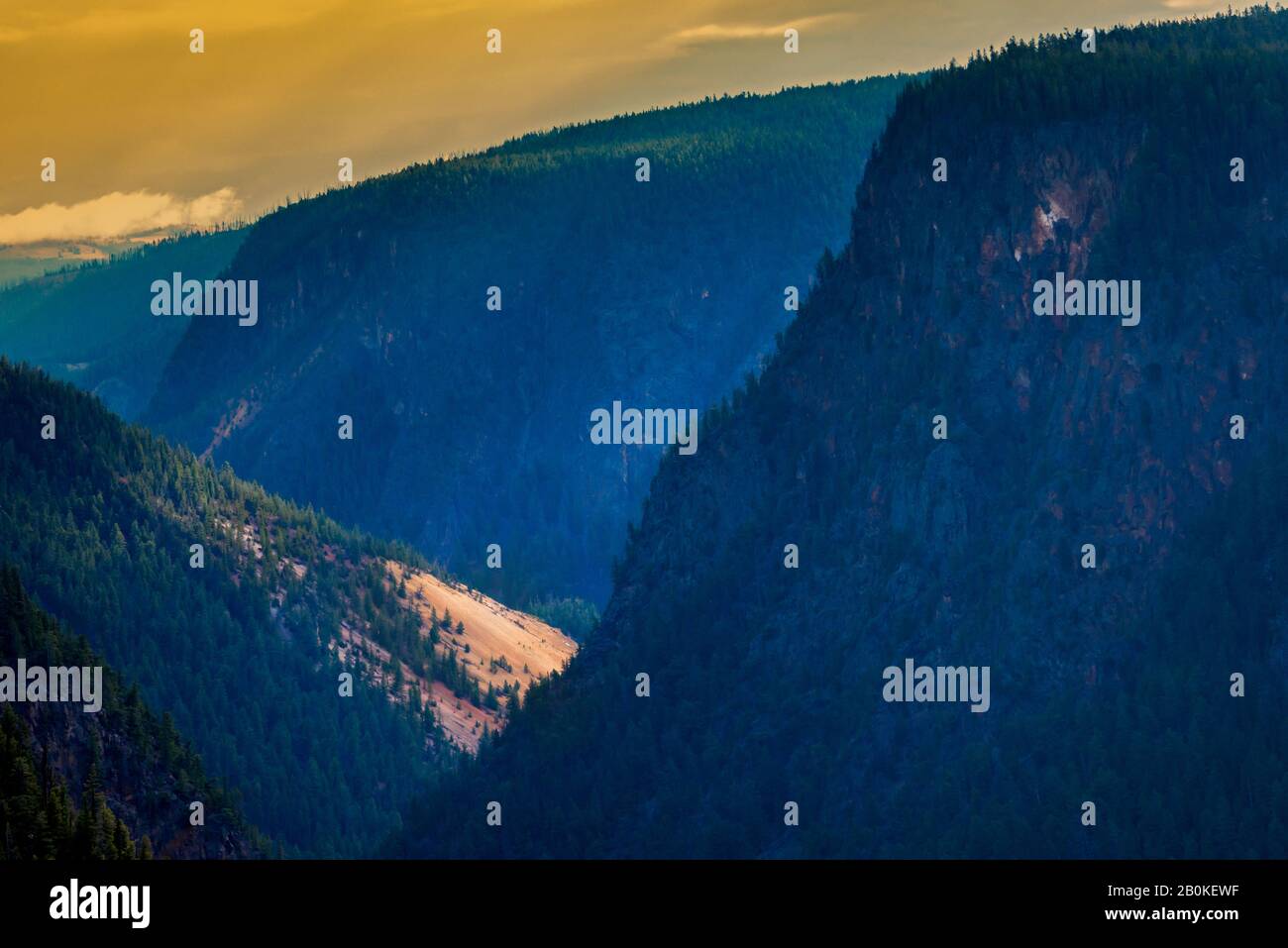 Sonne geht über bewaldeten Bergen und Canyon mit hellem gelben Himmel und blauen schattigen Schluchten auf. Stockfoto