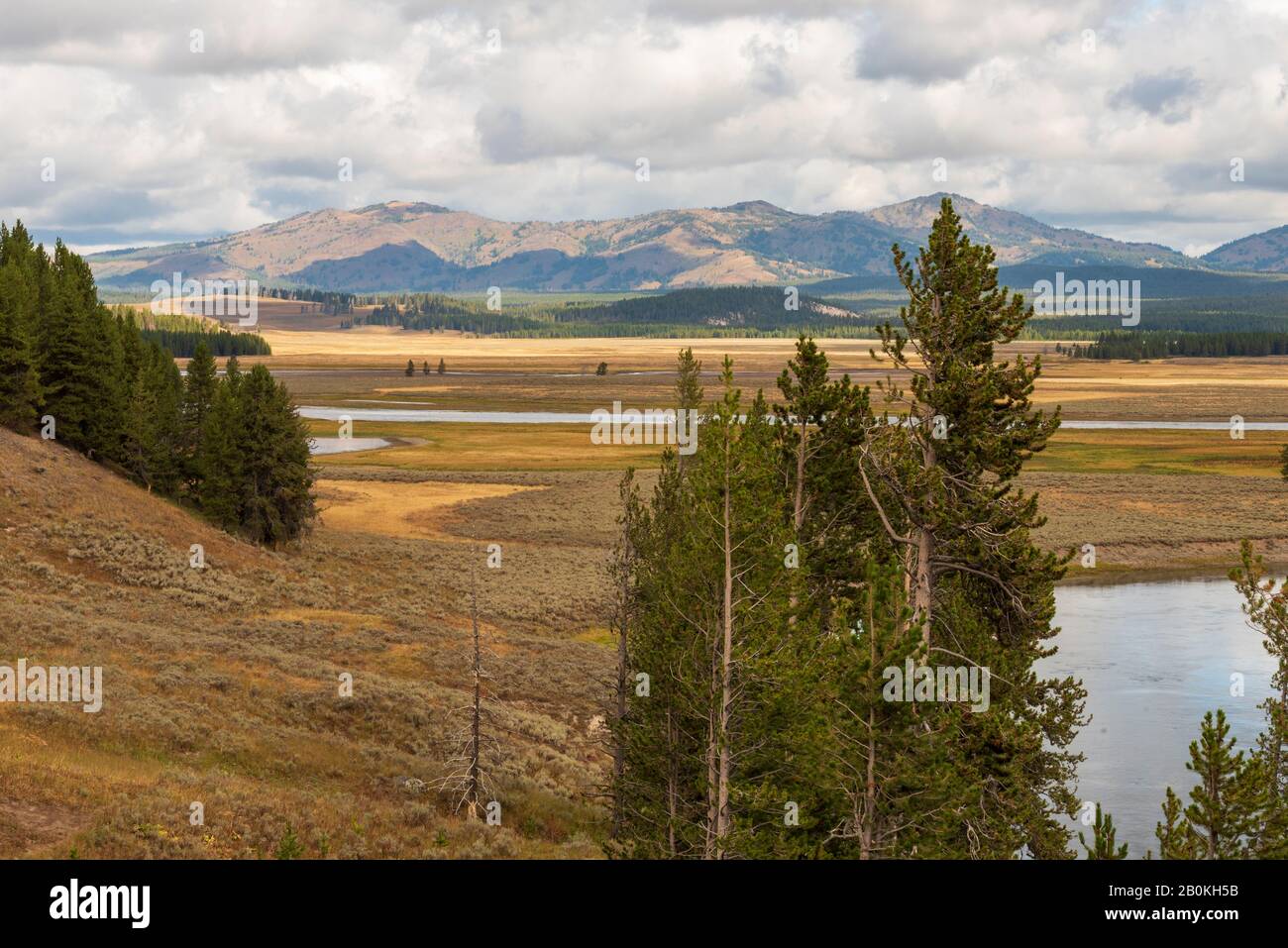 Blick auf einen kleinen See, mit hohen grünen Pinien und goldenem Tal unten und Bergen dahinter unter einem Himmel von weißen, flauschigen Wolken. Stockfoto