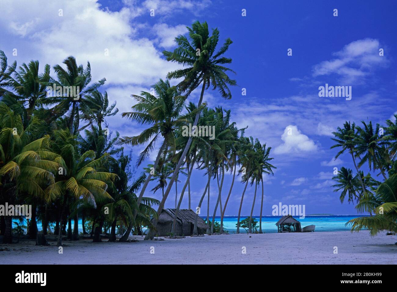 COOKINSELN, PALMERSTON-ATOLL, TROPISCHE INSELSZENE MIT REETHÜTTEN UND KOKOSNUSSPALMEN Stockfoto