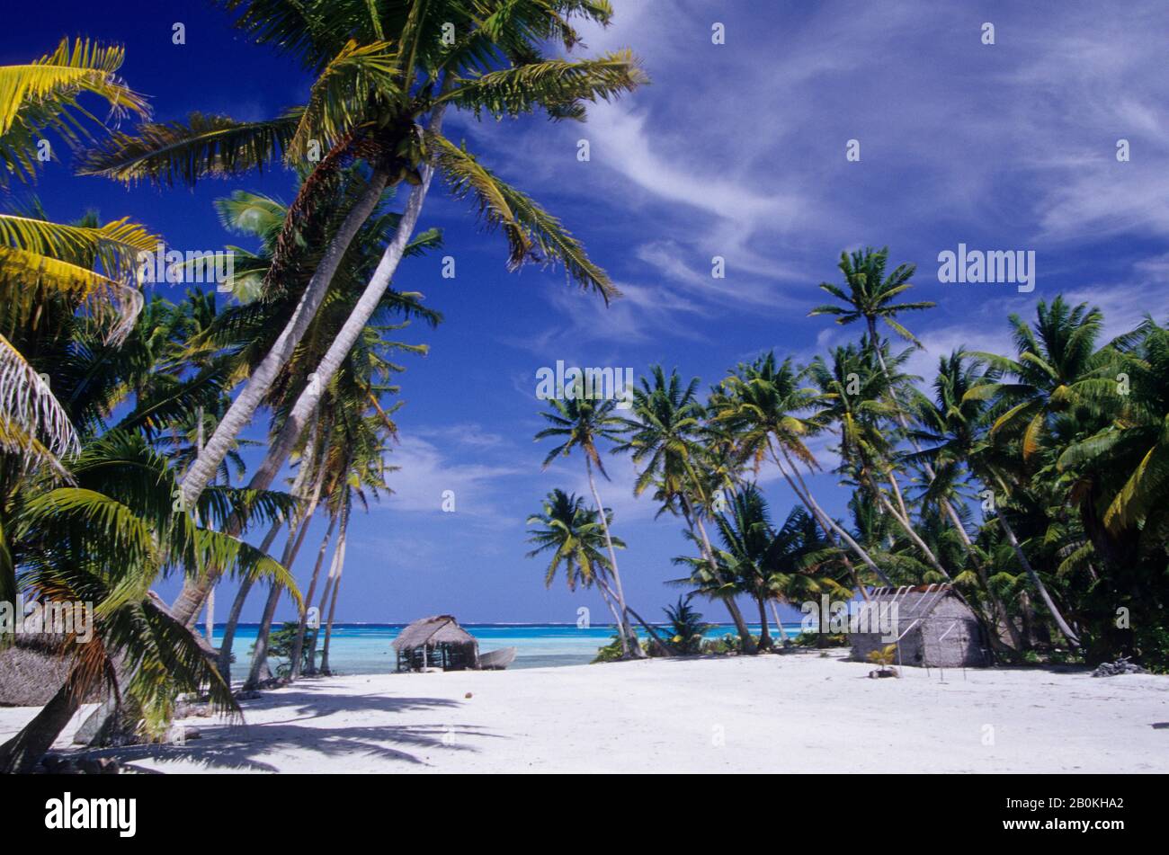 COOKINSELN, PALMERSTON-ATOLL, TROPISCHE INSELSZENE MIT REETHÜTTE UND KOKOSNUSSPALMEN Stockfoto