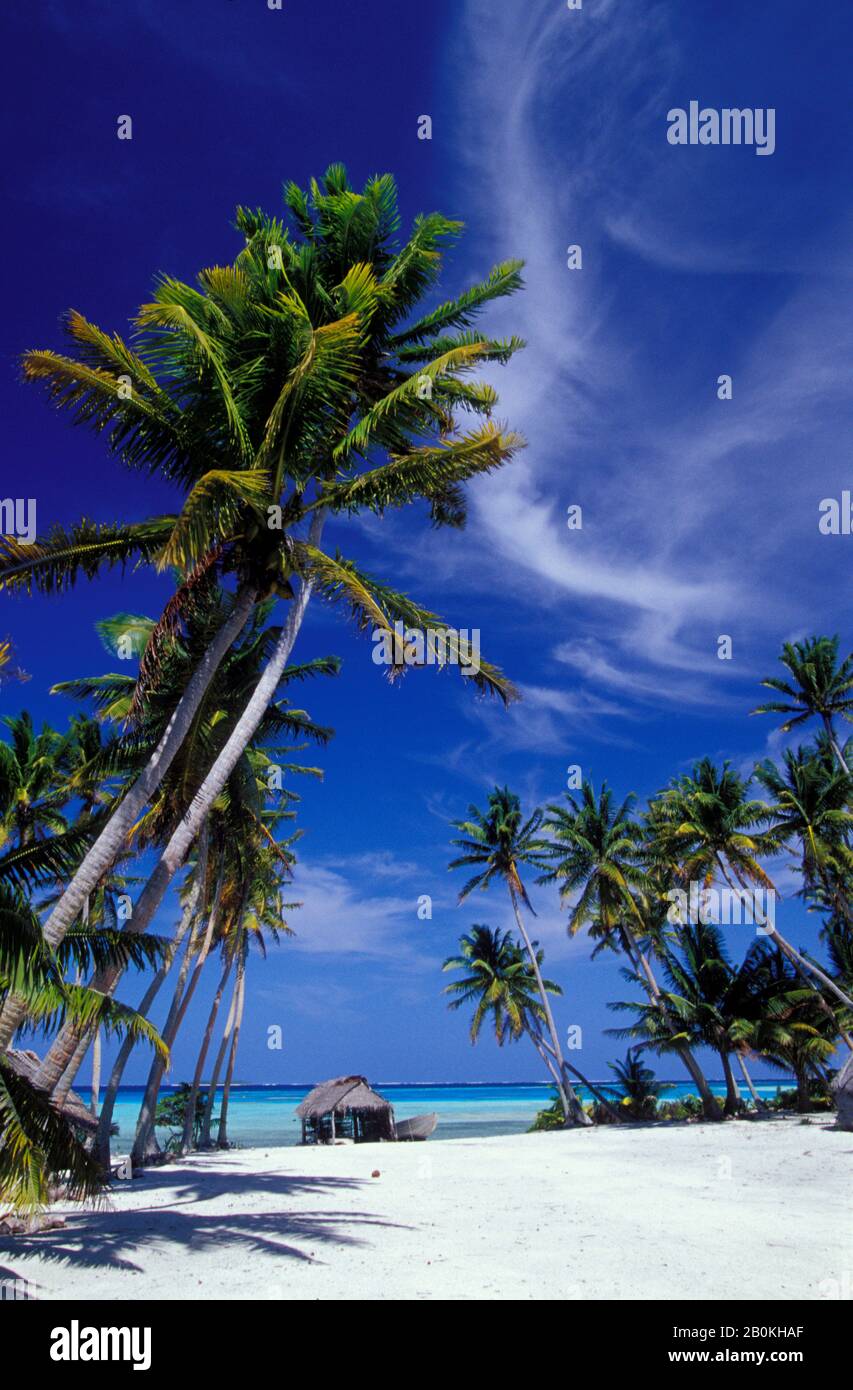 COOKINSELN, PALMERSTON-ATOLL, TROPISCHE INSELSZENE MIT REETHÜTTE UND KOKOSNUSSPALMEN Stockfoto