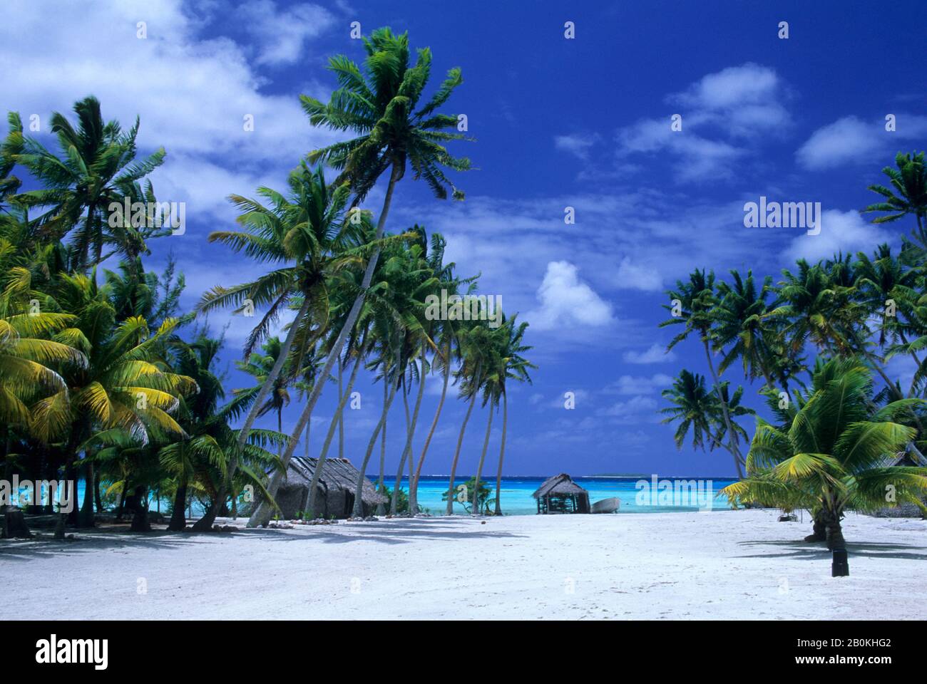 COOKINSELN, PALMERSTON-ATOLL, TROPISCHE INSELSZENE MIT REETHÜTTEN UND KOKOSNUSSPALMEN Stockfoto
