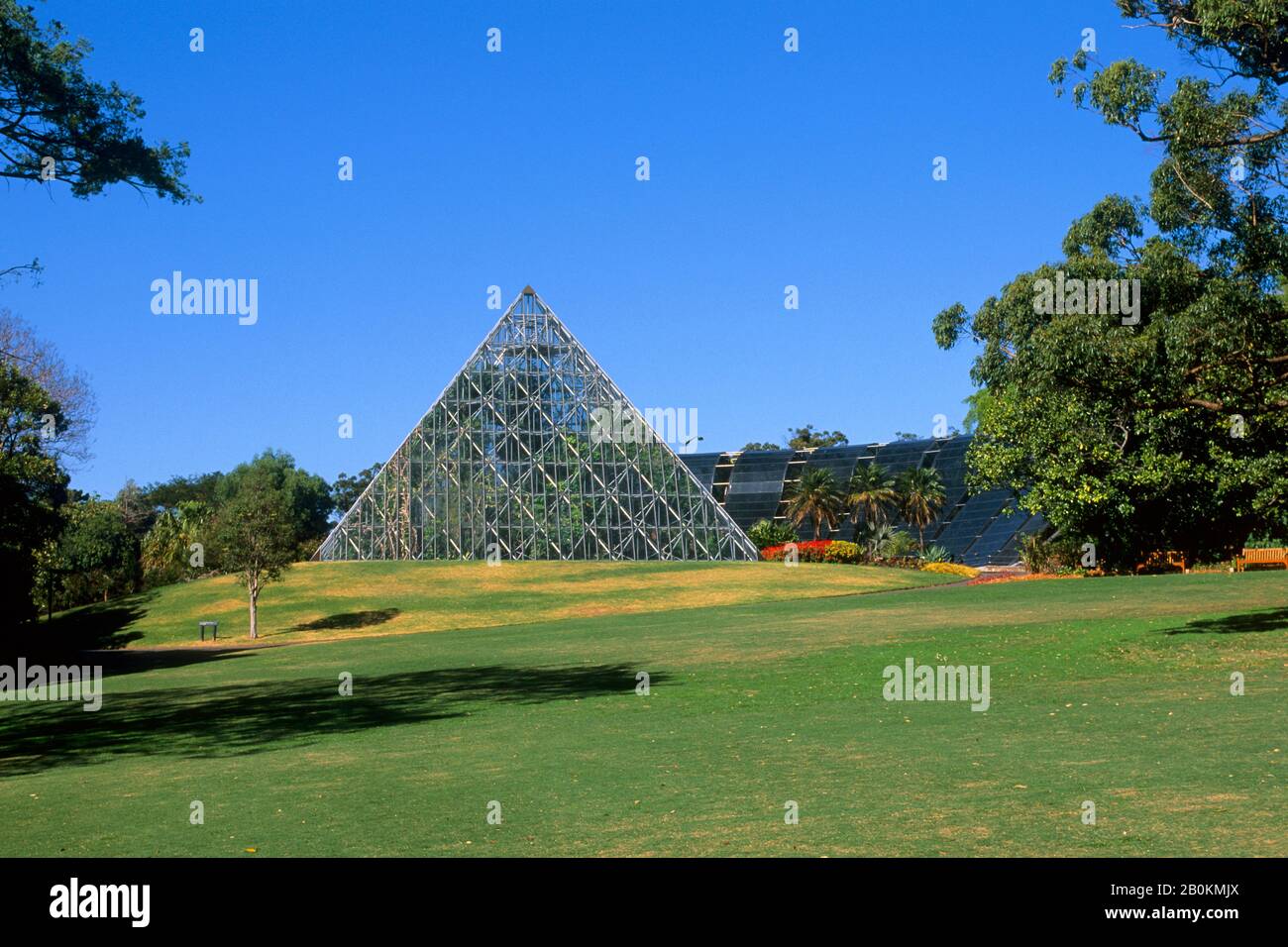 AUSTRALIEN, SYDNEY, ROYAL BOTANICAL GARDEN, GLASHAUS Stockfoto