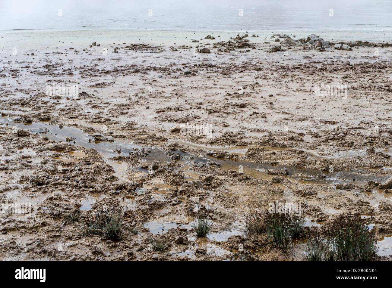 Klebrige schlammige Ufer einer heißen Quelle. Stockfoto