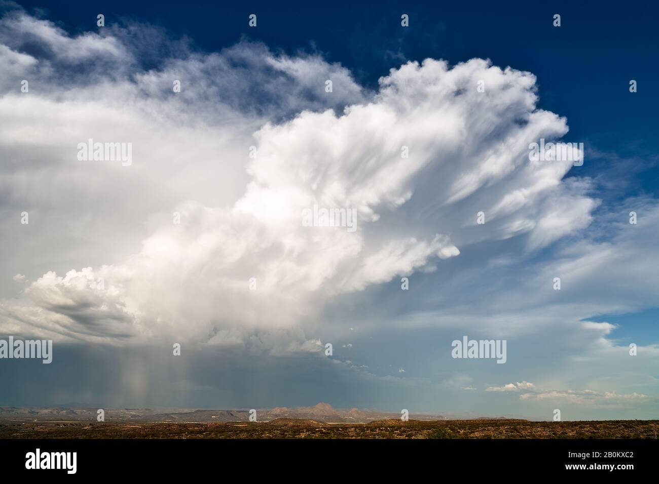 Dramatischer Himmel mit Cumulonimbuswolken, die sich bilden, wenn sich ein Gewitter in der Nähe von Globe, Arizona, entwickelt Stockfoto