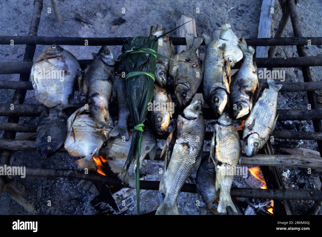 AMAZON, PERU, TICUNA DORF, FISCH BBQ Stockfoto