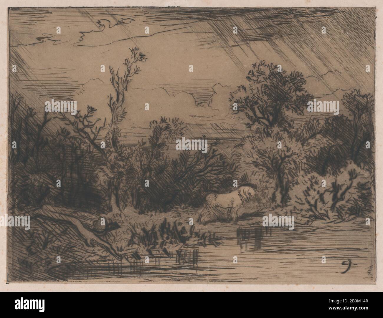 Charles Jacque, Landschaft mit Gewitter, Charles Jacque (Französisch, Paris 18-1894 Paris), 1848, Drypoint, Blatt: 9 13 / 16 Zoll × 14 Zoll (25 × 35,5 cm), Platte: 6 3/8 × 8 9/16 Zoll (16,3 × 21,8 cm), Ausdrucke Stockfoto