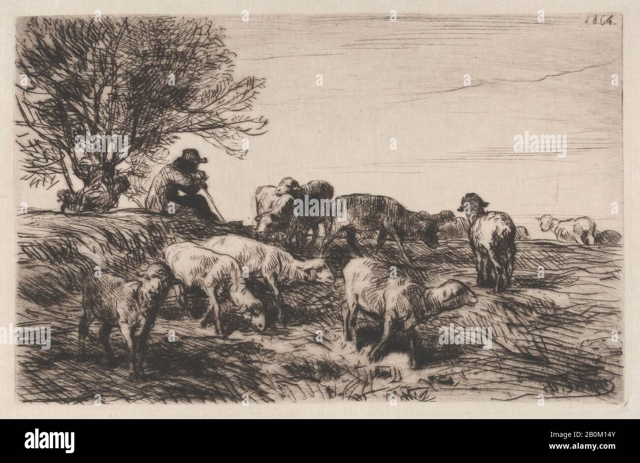 Charles Jacque, Herde of Sheep, Charles Jacque (Französisch, Paris 18-1894 Paris), 1864, Drypoint, Blatt: 12 Zoll × 17 11/16 Zoll (30,5 × 45 cm), Platte: 4 1/8 × 6 1/2 Zoll (10,5 × 16,5 cm), Ausdrucke Stockfoto