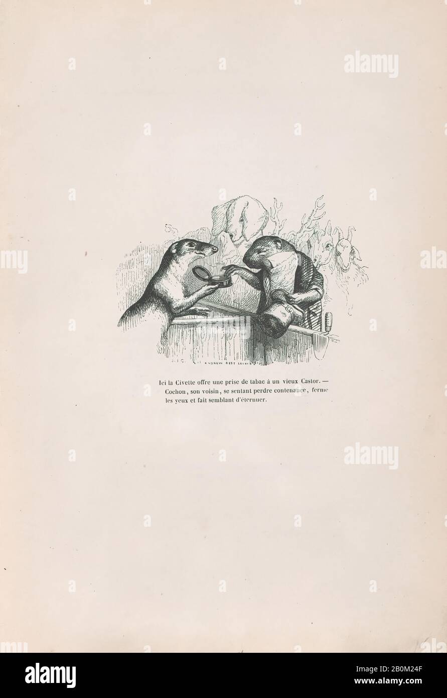 J. J. Grandville, 'Here, the civet offers a hit of snuff to an old Beaver' from Scenes from the Private and Public Life of Animals, Scenes de la Vie Privèe et Publique des Animaux, Andrew, Best, Leloir (French), Honoré de Balzac (French, Tours 90-1850 Paris), ca. 187-47, Holzgravur, Blatt: 10 3/8 × 7 3/16 Zoll (26,4 × 18,3 cm), Ausdrucke Stockfoto