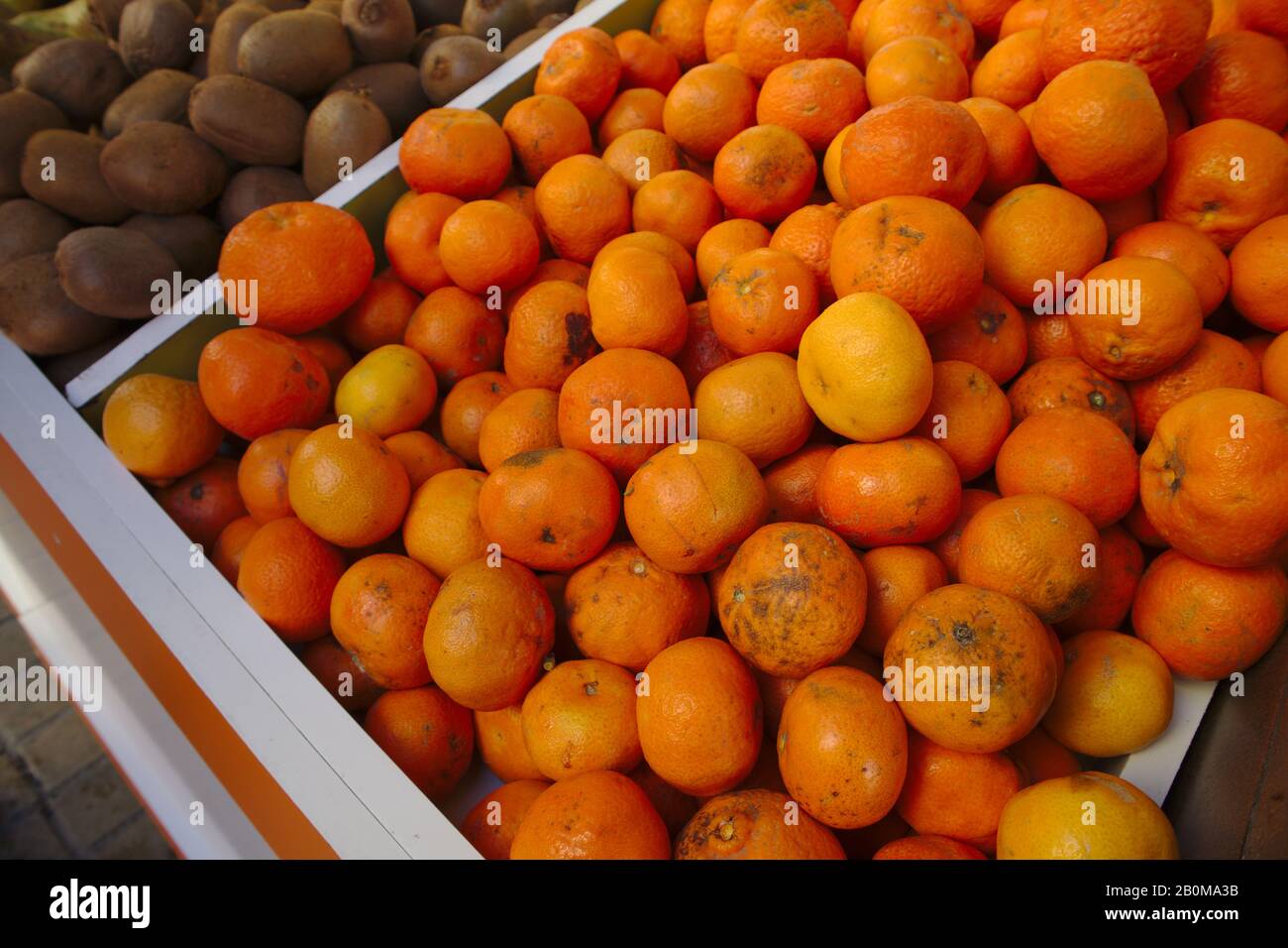 Ein Stall an der Tür eines Obstbaues, in dem sich zunächst eine Schachtel Orangen und ein weiterer Kiwis im Hintergrund befinden Stockfoto