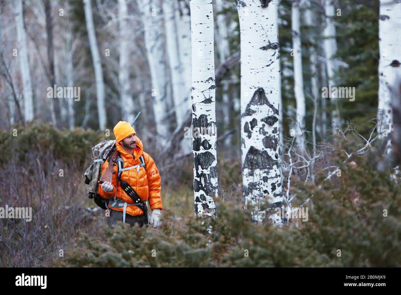 Ein männlicher Jäger geht mit seinem Gewehr in Colorado durch einen Wald Stockfoto