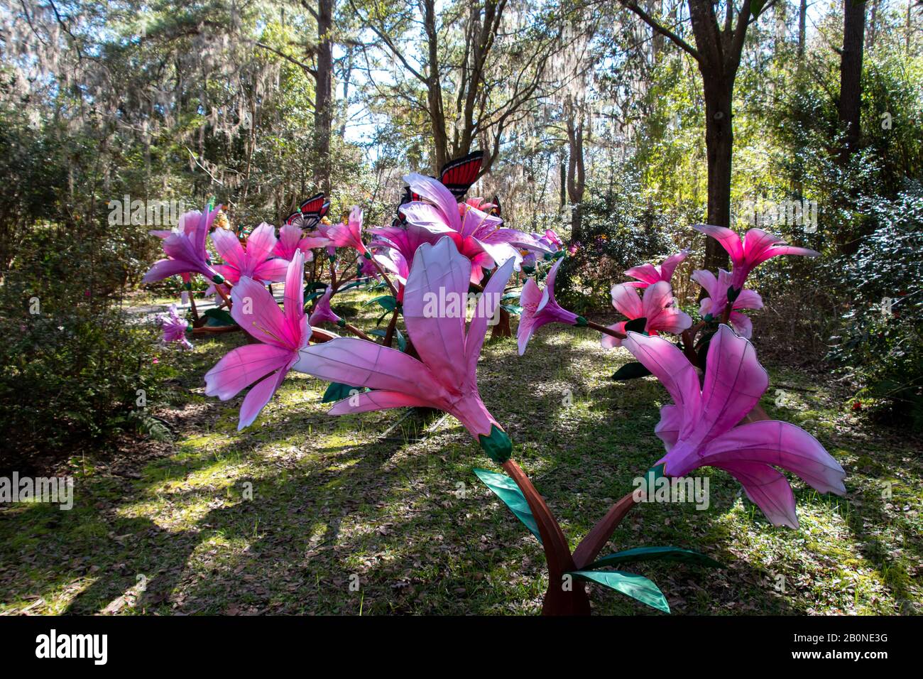 Charleston, SC - 2. Februar 2020: Große chinesische Blumenlaternen aus der Lights of Magnolia Plantation Stockfoto