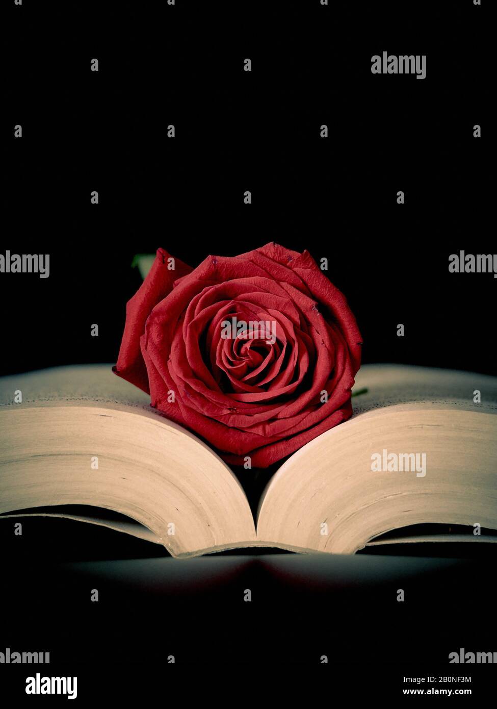 Attraktive Frau mit schwarz-weißem Flamenco-Kleid und Blume im Haar auf der Messe Stockfoto