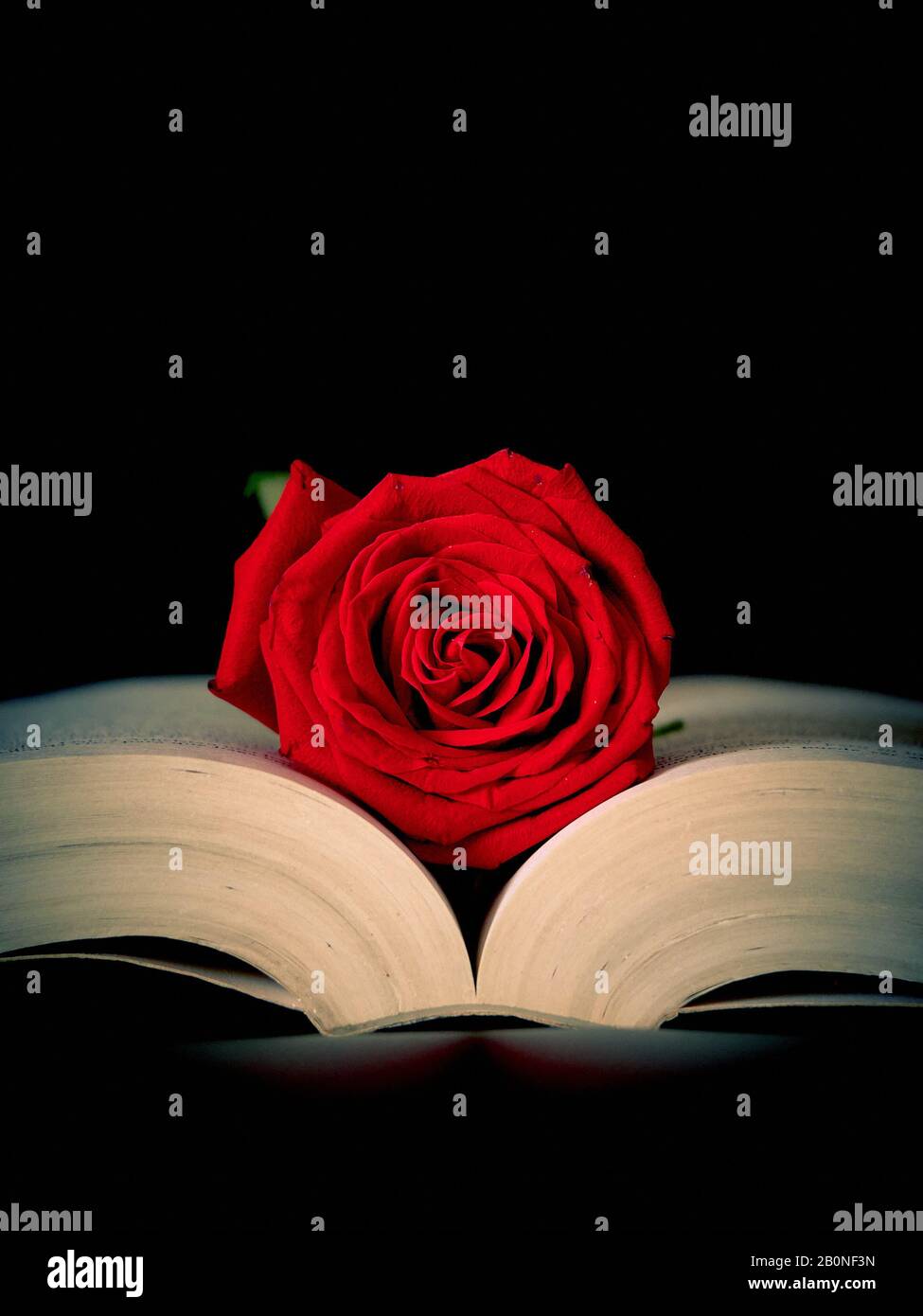 Attraktive Frau mit schwarz-weißem Flamenco-Kleid und Blume im Haar auf der Messe Stockfoto