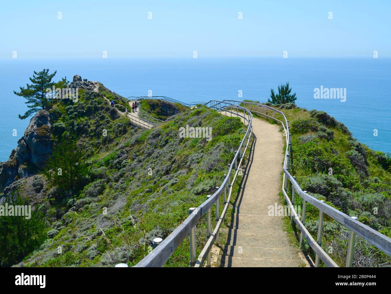 Der Gehweg zum Muir Woods Beach Blickt auf die Pazifikküste Kaliforniens nördlich von San Francisco. Stockfoto