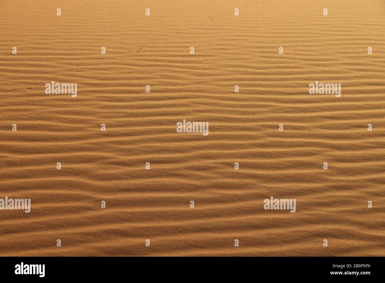 Sandtextur - Hintergrund von Wüstensanddünen. Schöne Strukturen von sandigen Dünen, Sand mit Windwelle in der Wüste - Nahaufnahme Stockfoto