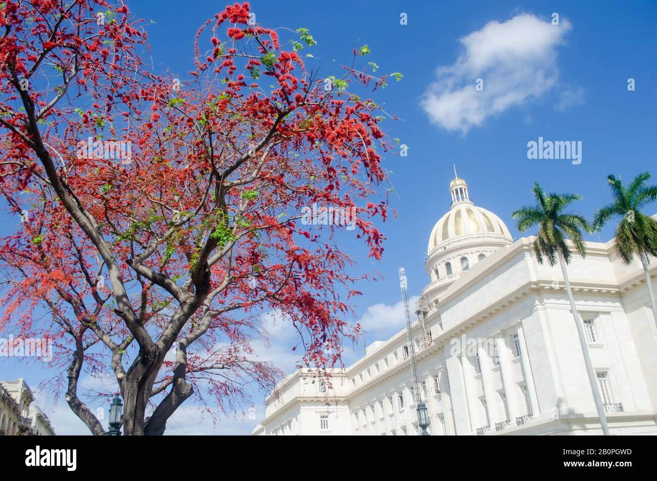 Das National Capitol Building im Alten Havanna Stockfoto