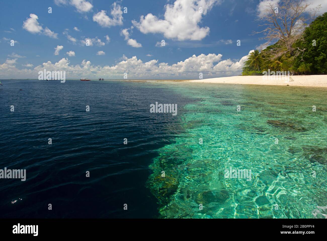 Leerer Strand auf Sipadan Island, Malaysia, Celebes Sea Stockfoto