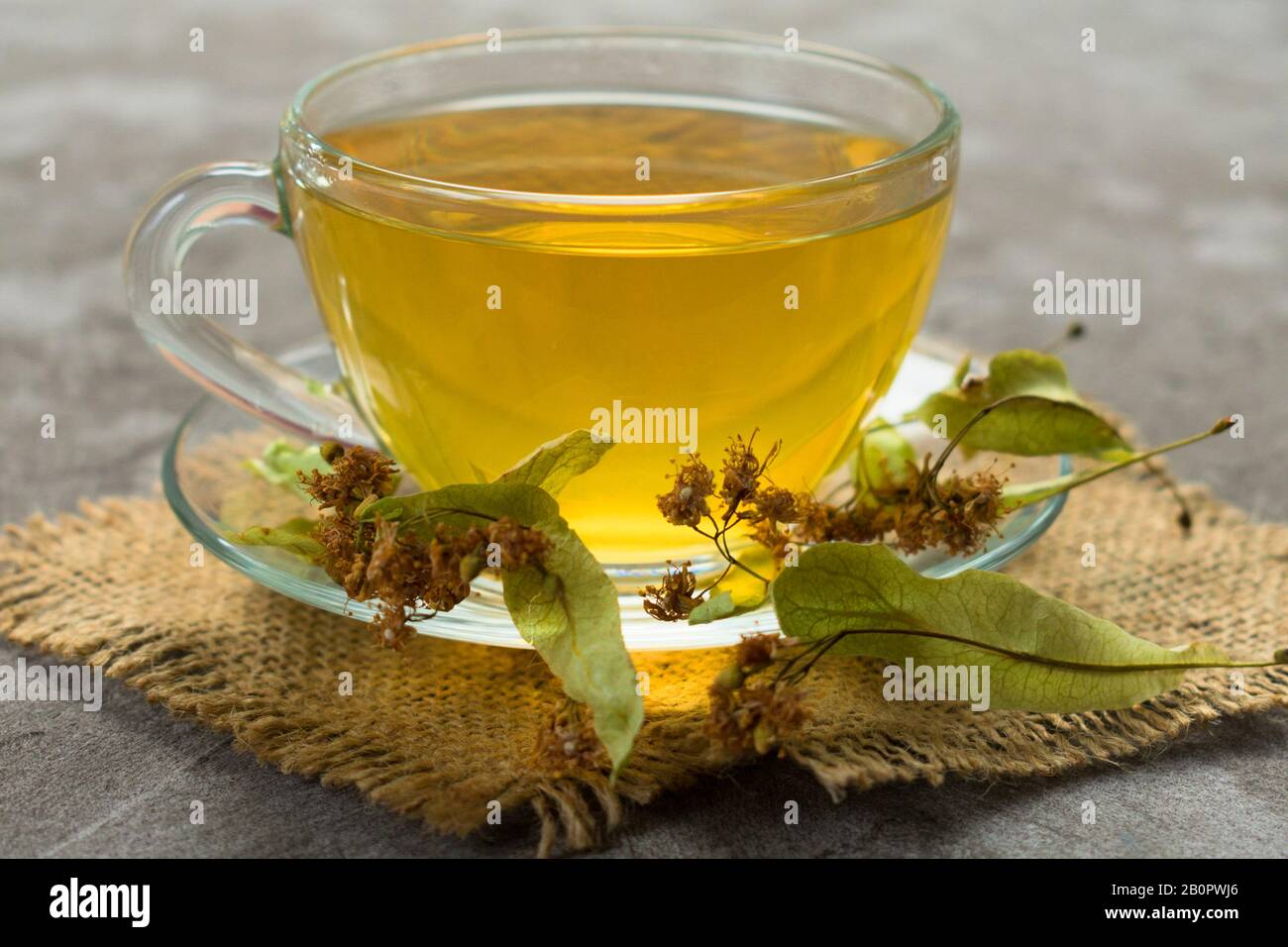 Gläserner Teebecher aus Lindenblüten auf grauem Grund. Das Konzept des gesunden Tees. Stockfoto