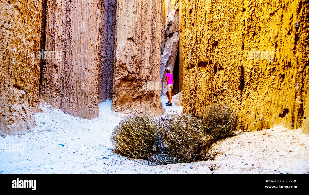 Seniorin, die durch den Slot Canyons und Hoodoos durch Erosion des weichen vulkanischen Bentonite Clay im Cathedral Grove State Park in der Ne wandert Stockfoto