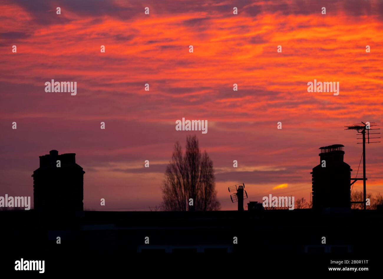 Wimbledon, London, Großbritannien. Februar 2020. Vor Sonnenaufgang im Südwesten Londons schimmelten Dächer vor einem leuchtend roten Himmel. Kredit: Malcolm Park/Alamy Live News. Stockfoto