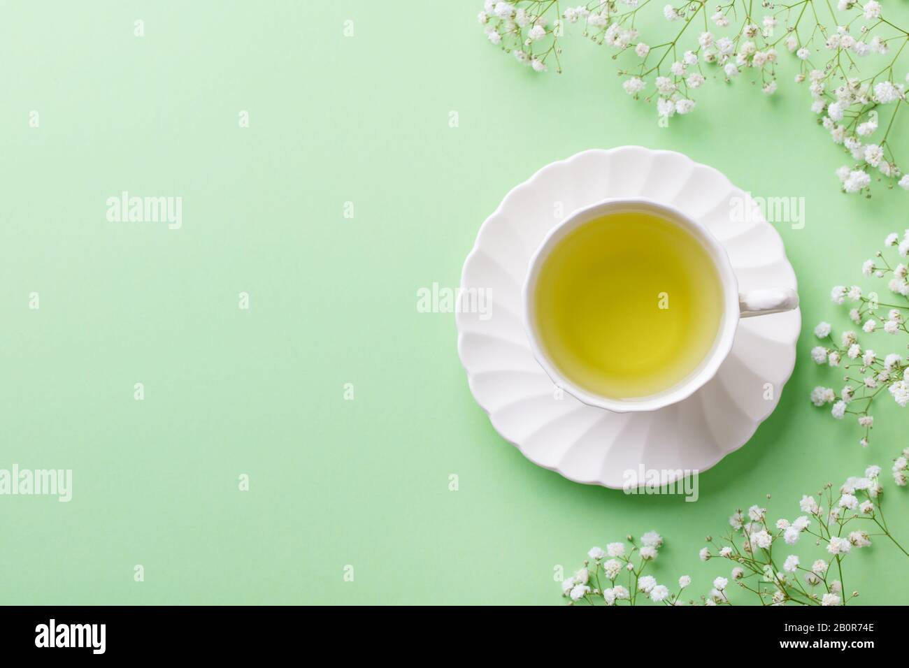 Grüner Tee in einer weißen Tasse mit Gypsophila-Blumen auf grünem Pastellgrund. Draufsicht. Kopierbereich. Stockfoto