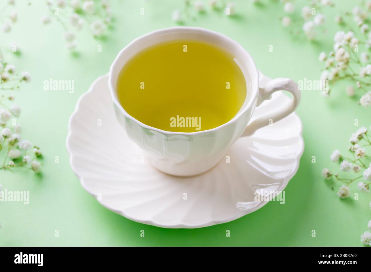 Grüner Tee in einer weißen Tasse mit Gypsophila-Blumen auf grünem Pastellgrund. Nahaufnahme. Stockfoto