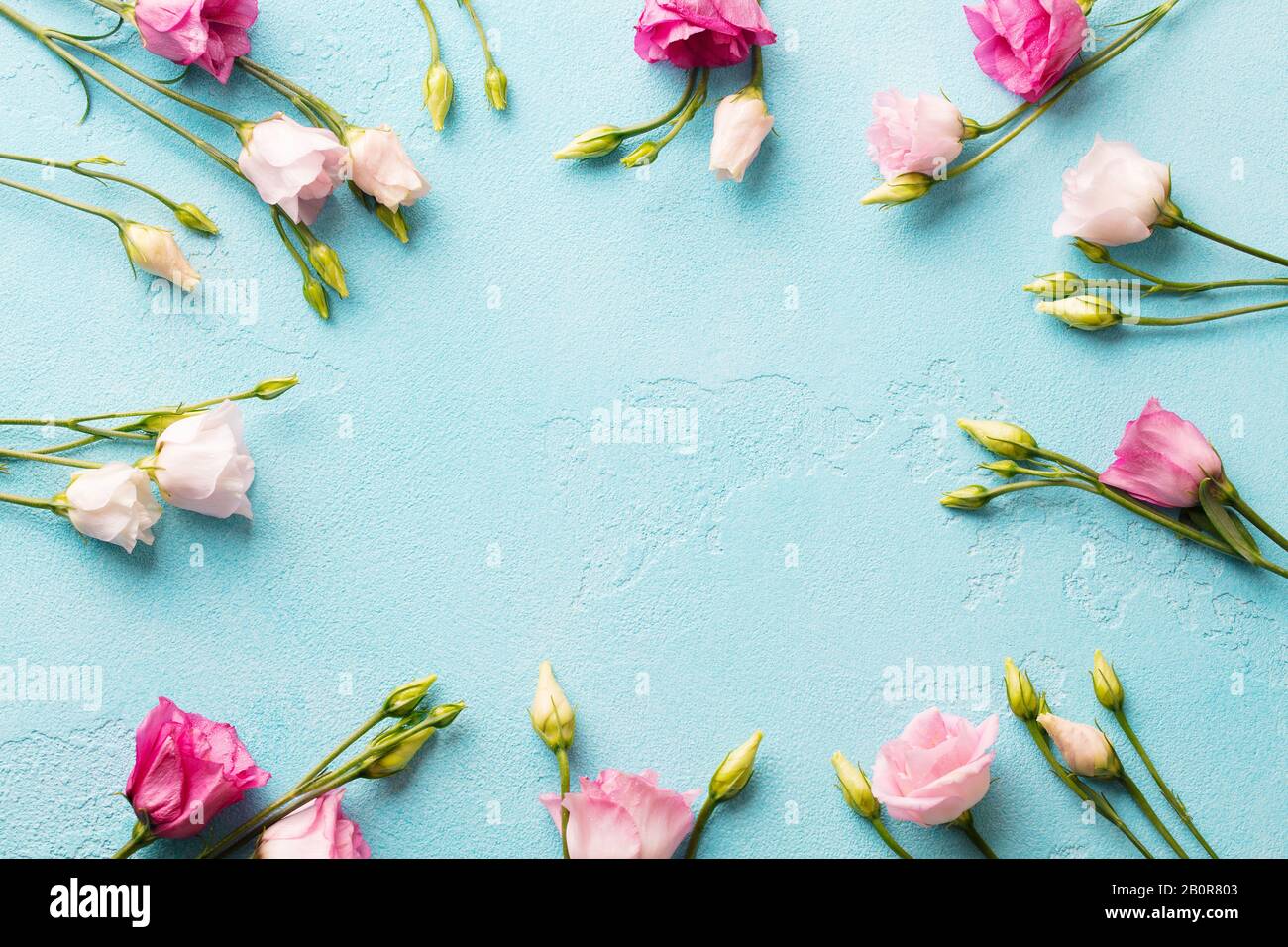 Rahmen mit bunten Blumen. Blauer Hintergrund. Draufsicht. Kopierbereich. Stockfoto