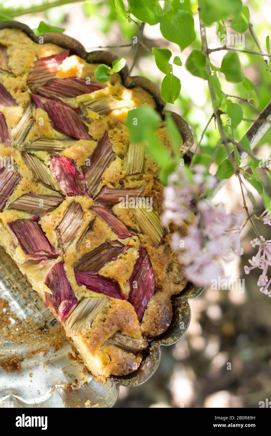 Leckere frisch gebackene Rhabarberkuchen im Landhausstil - Picknickzeit Stockfoto