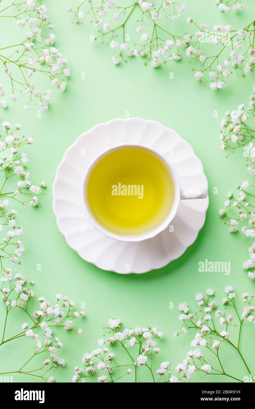 Grüner Tee in einer weißen Tasse mit Gypsophila-Blumen auf grünem Pastellgrund. Draufsicht. Stockfoto