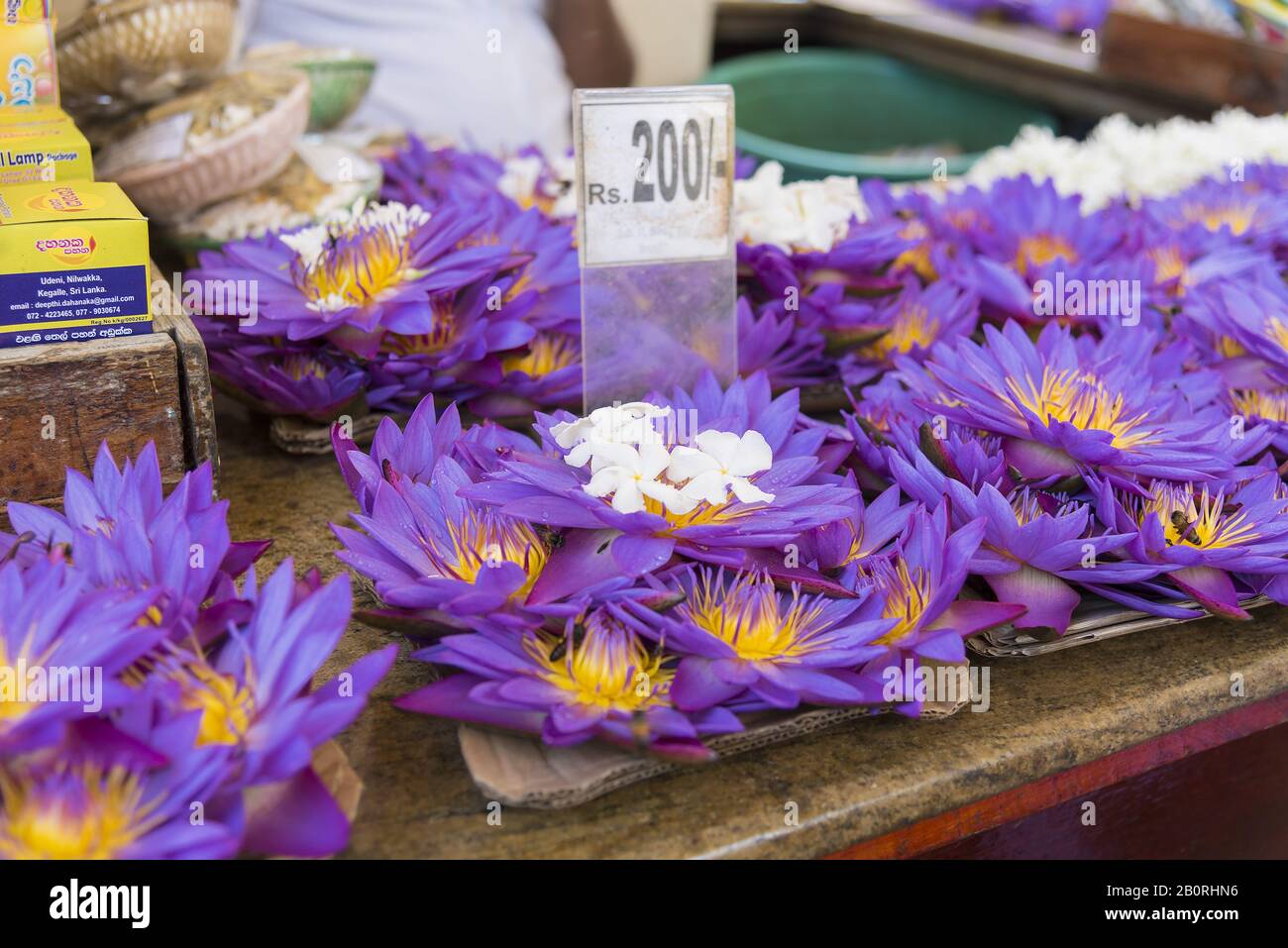 Kandy, Sri Lanka: 19.03.2019: Marktstall voller lotusblüten zum Betangebot im buddhistischen Tempel. Stockfoto