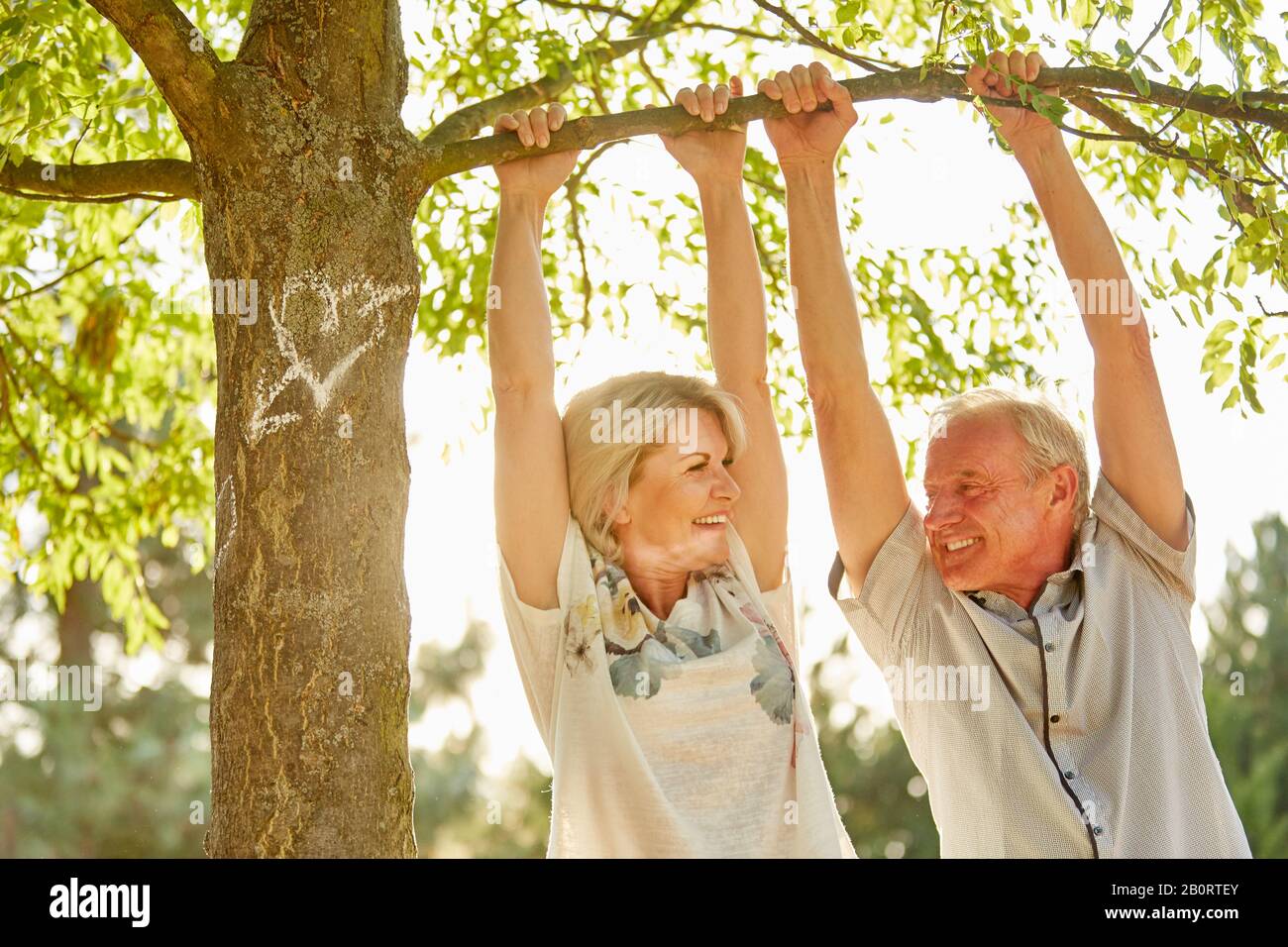 Glückliches Paar Senioren verliebt sich im Sommer an einem Baum Stockfoto