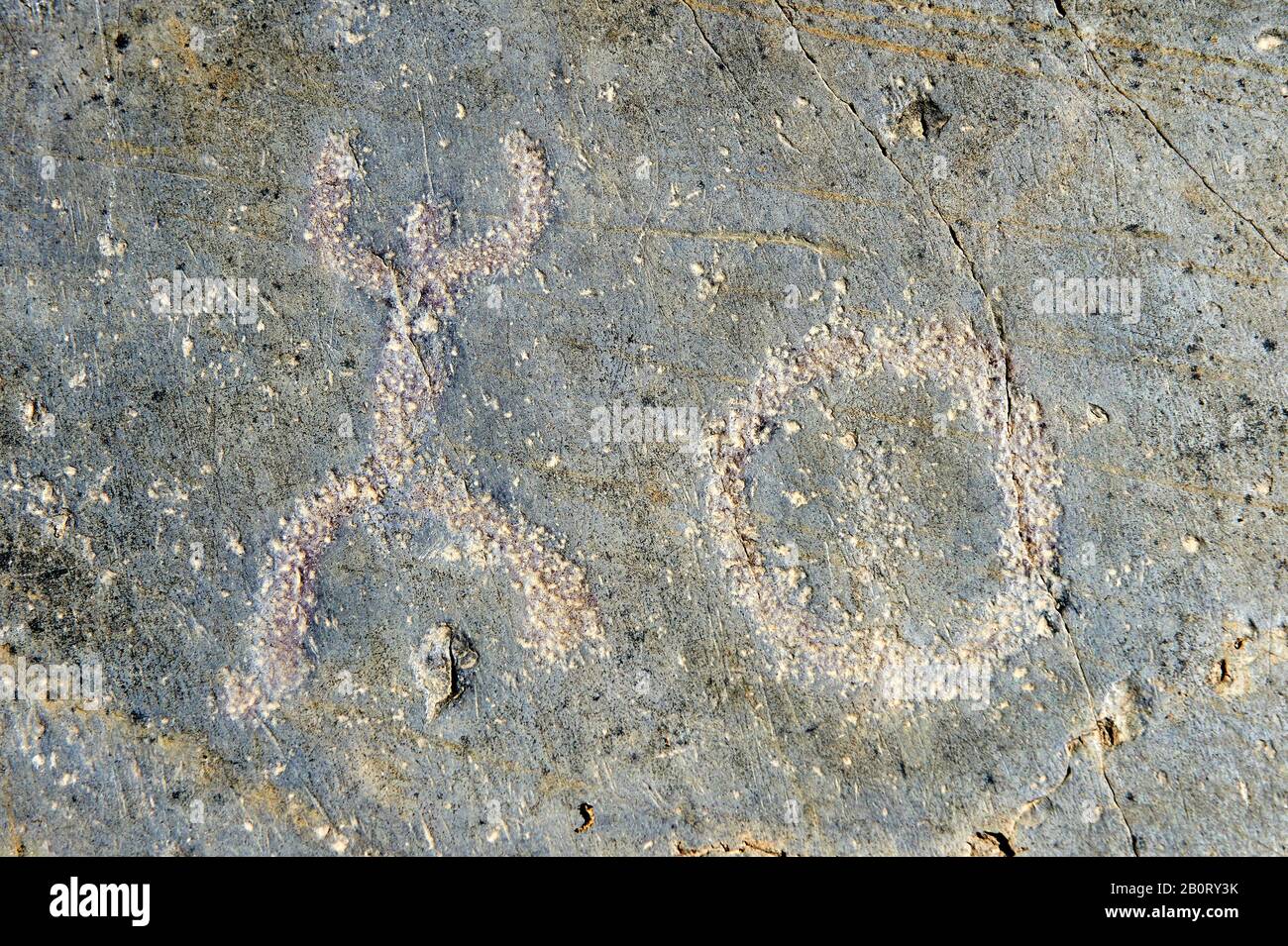 Petroglyph, 'betender Mann' Felsschnitzerei, von der Eisenzeit Camunni, 1000-1600 v. Chr., Naturale Incisioni Rupestri di Ceto, Valcamonica (Val Camonica) Stockfoto