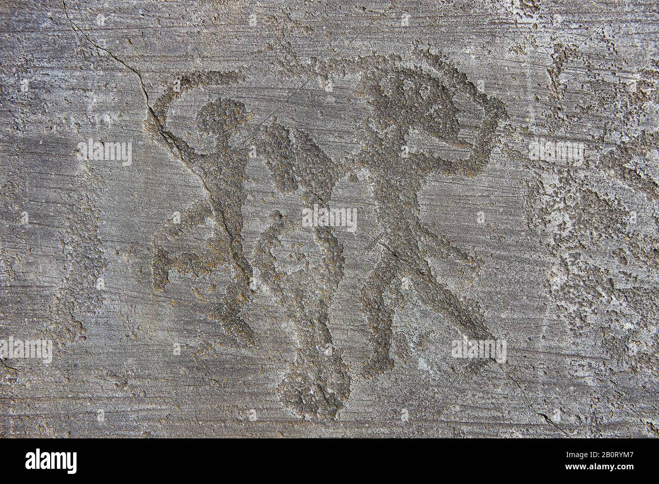 Petroglyph, Felsschnitzerei, von zwei Kriegern, die kämpfen, der rechte hat eine Kopfbedeckung und beide haben Schilde. Vom alten Camunni Peop geschnitzt Stockfoto