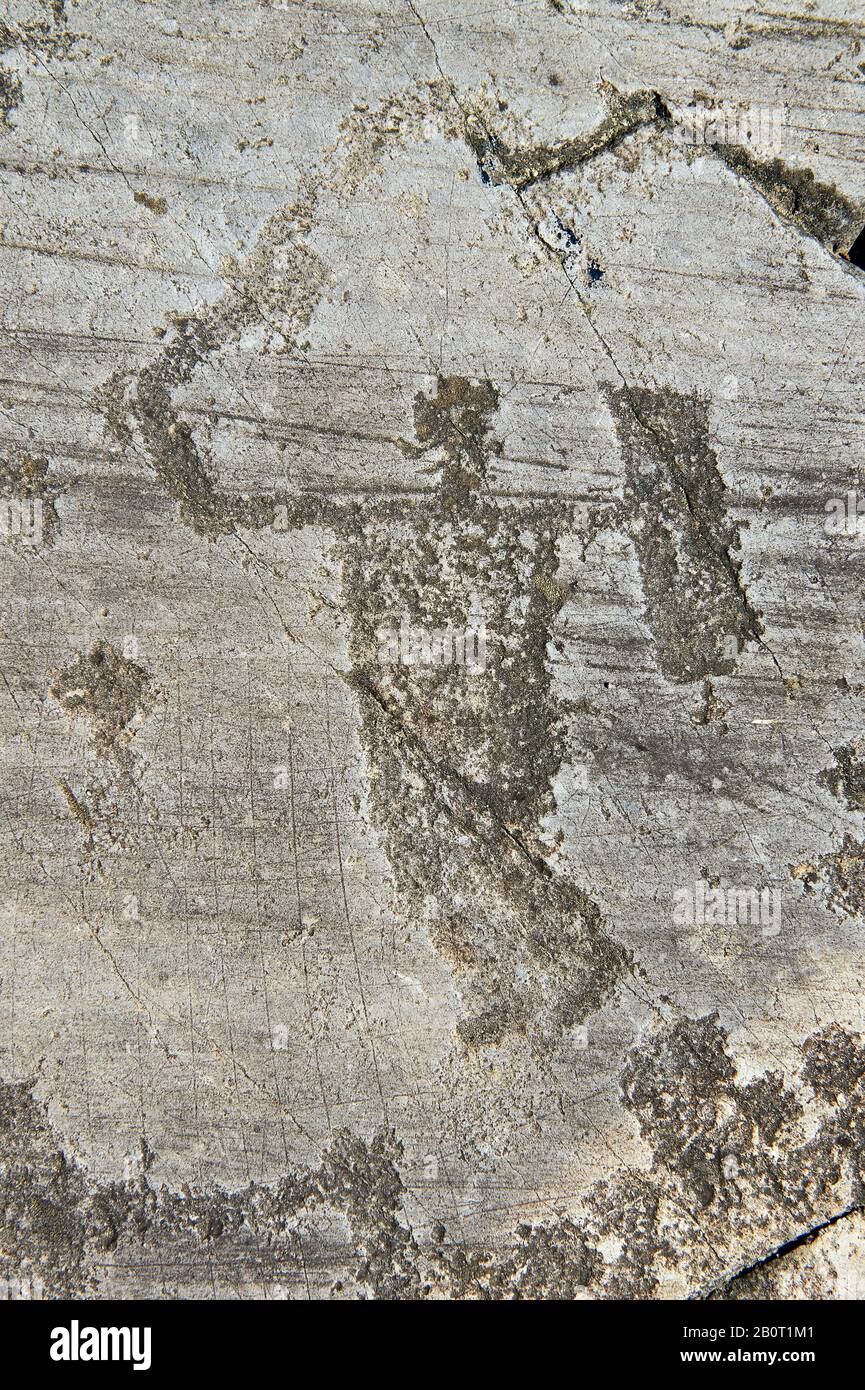 Petroglyph, Felsschnitzerei, eines Kriegers mit Schwert und quadratischem Schild. Von den alten Camuni-Leuten in der Eisenzeit zwischen 1000-1600 v. Chr. geschnitzt. Roc Stockfoto