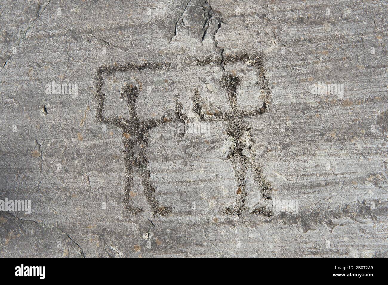 Petroglyph, Felsschnitzerei, von zwei Kriegern mit Schwertern und kleinen runden Schilfrohren, die von den alten Camuni-Leuten im Eisenzeit zwischen 900 und 1200 v. Chr. geschnitzt wurden Stockfoto