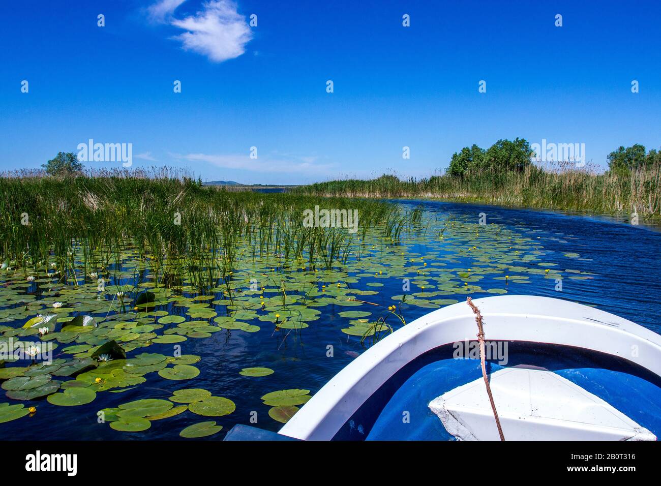 Ausflug mit einem Boot auf dem Donau-Delta, Rumänien, Donau-Delta Stockfoto