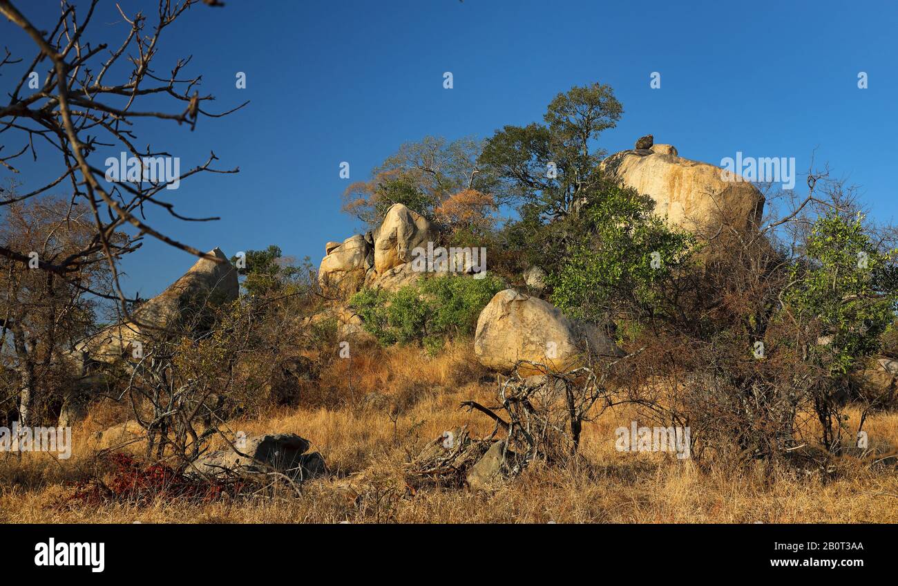 NAPI-Felsen in der Nähe von Pretoriuskop, Südafrika, Lowveld, Krueger-Nationalpark, Makhutlwanini Inselberg Stockfoto