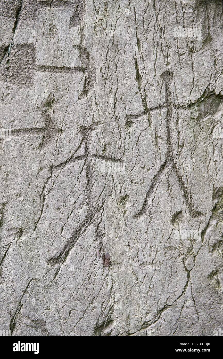 Prähistorische Petroglyphen, Felsschnitzereien, Details von trangulären Dolchen mit halbrunden Pomeln und schematische Darstellungen menschlicher Figuren, Stockfoto