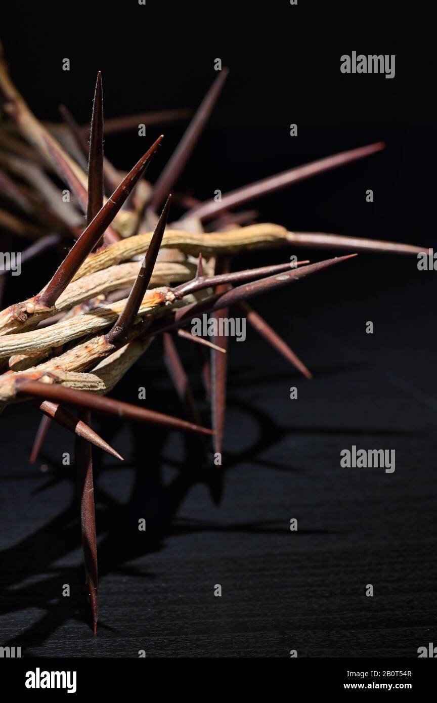 Dornenkrone Auf SCHWARZEM Holzhintergrund Stockfoto